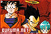 Buruma Network